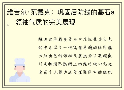 维吉尔·范戴克：巩固后防线的基石与领袖气质的完美展现